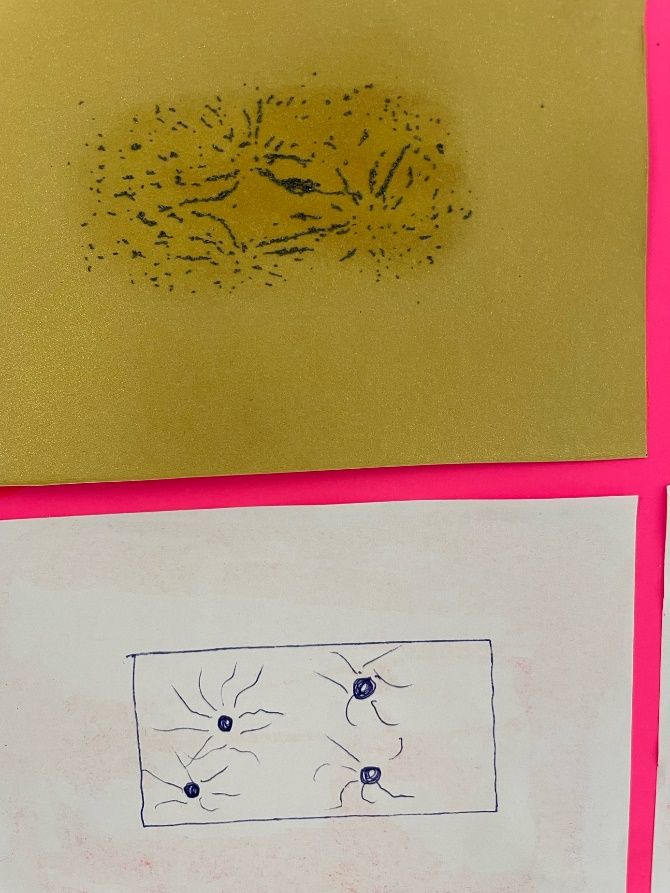 Wie wird Angezogen 3